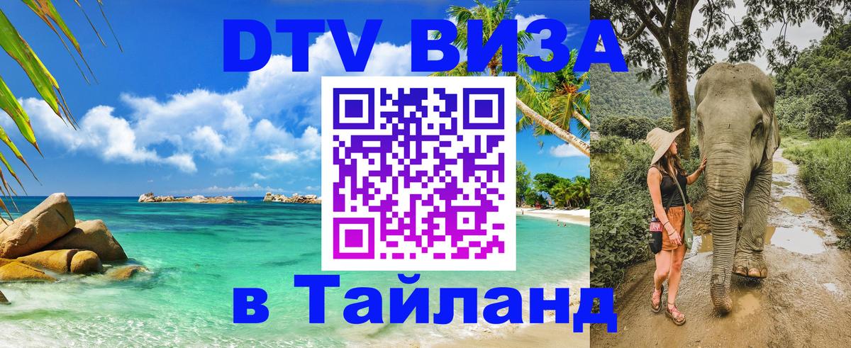 Сколько стоит DTV виза — актуальные цены, оформление даже без документов - 